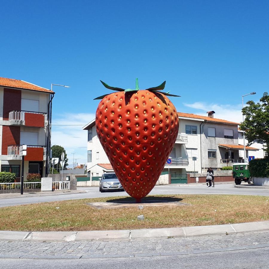 Apartmán Porta 7 Canidelo  Exteriér fotografie